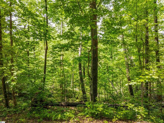 Photo of 67 Wildflower Lane