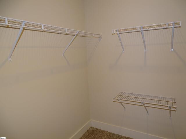 Photo of 146 Bromes