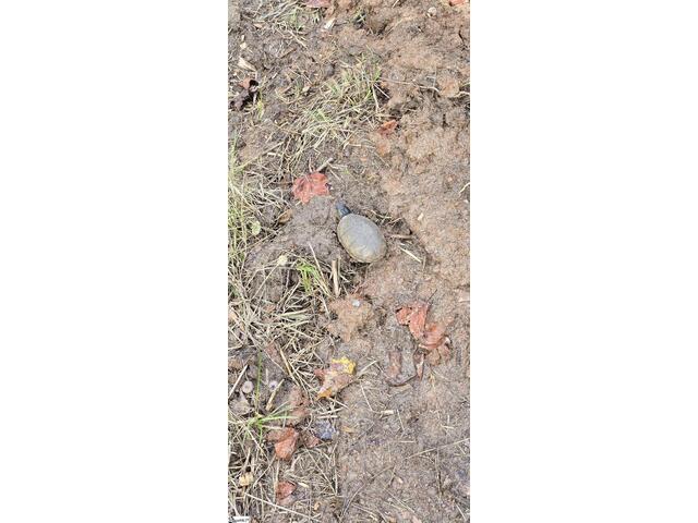 Photo of 154 Latham Drive