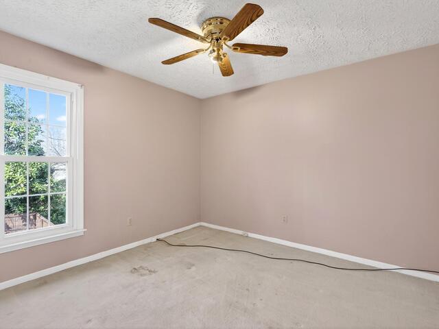 Photo of 100 Terrence Court
