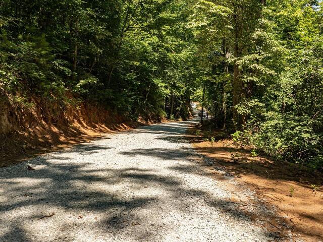 Photo of 00 Chestnut Mountain Road