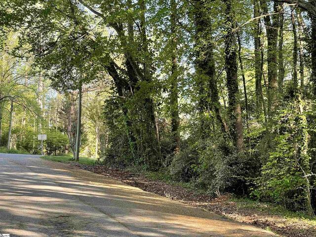 Photo of Forest Lane Drive