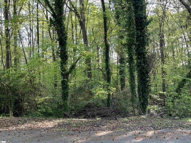 Photo of Forest Lane Drive