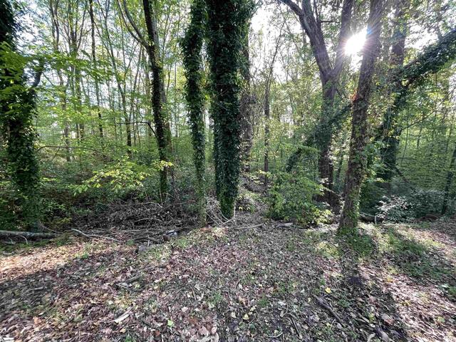 Photo of Forest Lane Drive