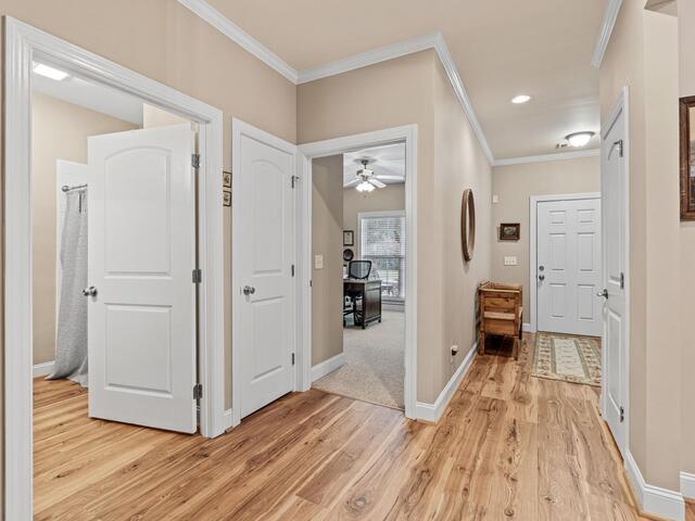 Photo of 251 LOUISVILLE Drive