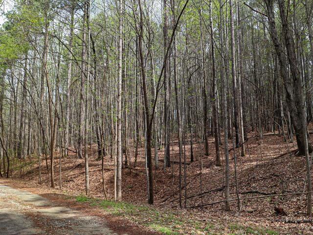 Photo of 23 Belk Road