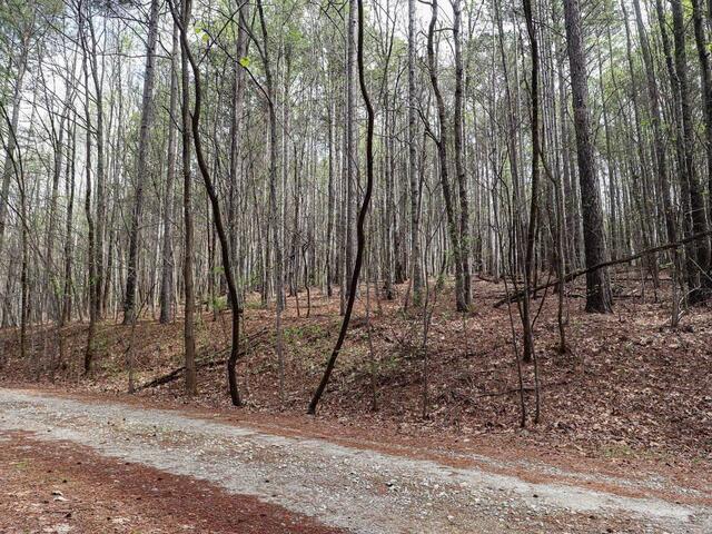 Photo of 23 Belk Road