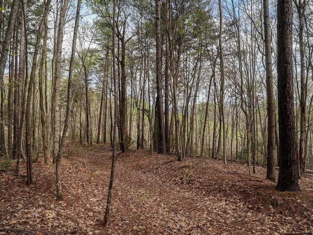 Photo of 23 Belk Road