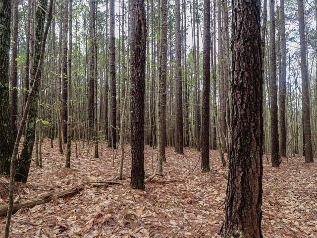 Photo of 23 Belk Road