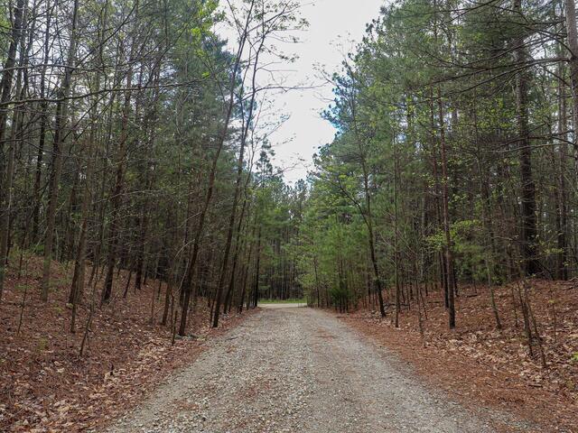 Photo of 23 Belk Road