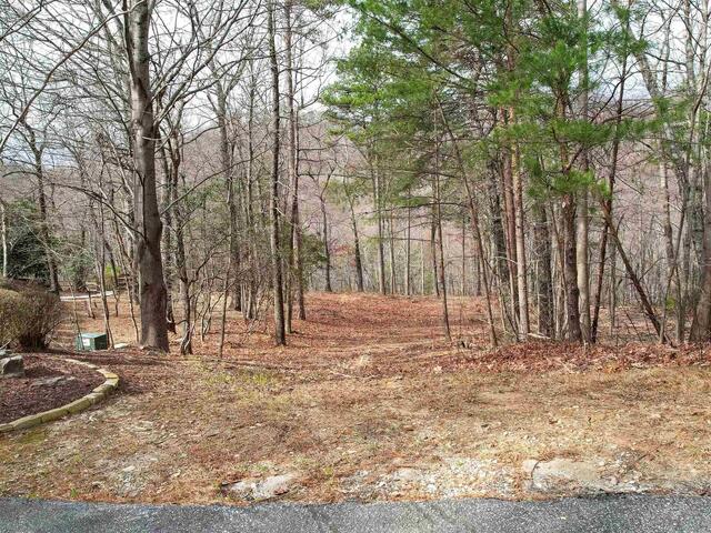 Photo of 44 Mountain Oak Lane