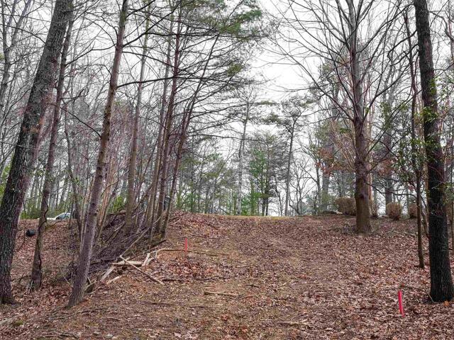 Photo of 44 Mountain Oak Lane