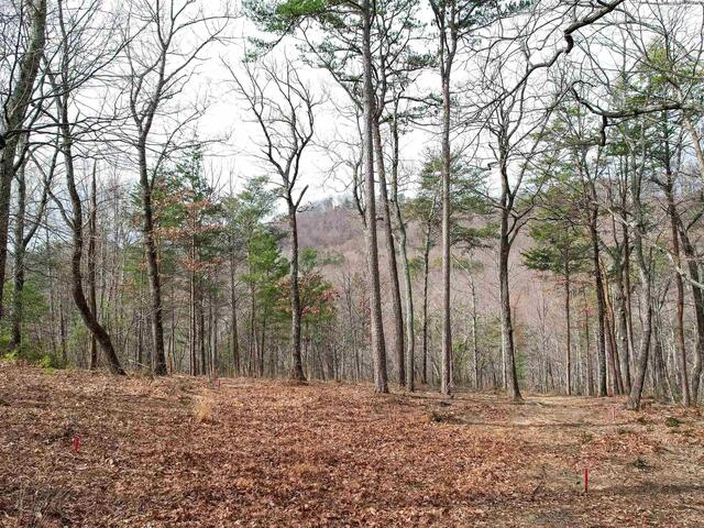 Photo of 44 Mountain Oak Lane