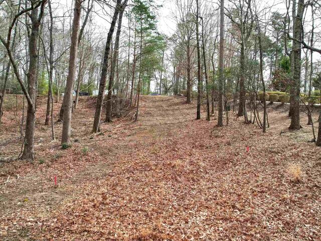 Photo of 44 Mountain Oak Lane