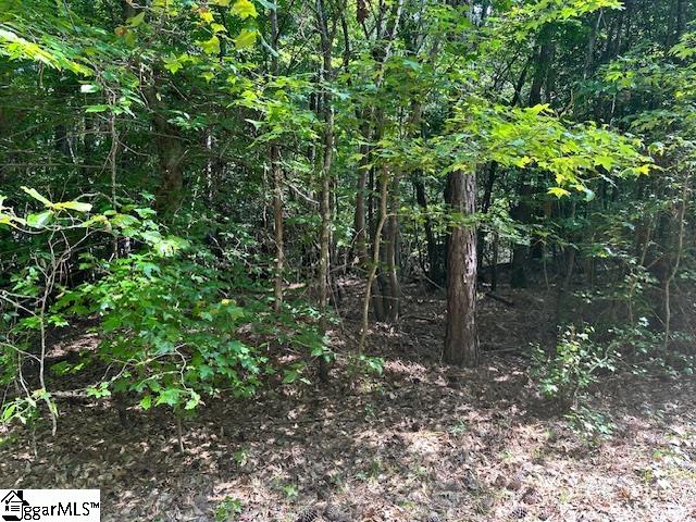 Photo of 0 S J Workman Highway